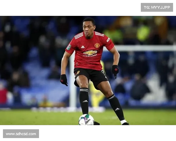 围绕曼联弗兰技能运用五大关键的深度解析与实战策略全景指南精要 围绕曼联弗兰技能运用五大关键的深度解析与实战策略全景指南精要