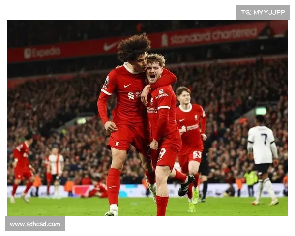 欧冠与欧联第三名赛事差异深度对比解析及发展趋势探讨未来走向